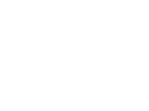 Nyholms Lack & Bläster AB logotyp